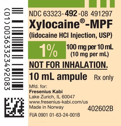 lid0o 0000 04   Copy